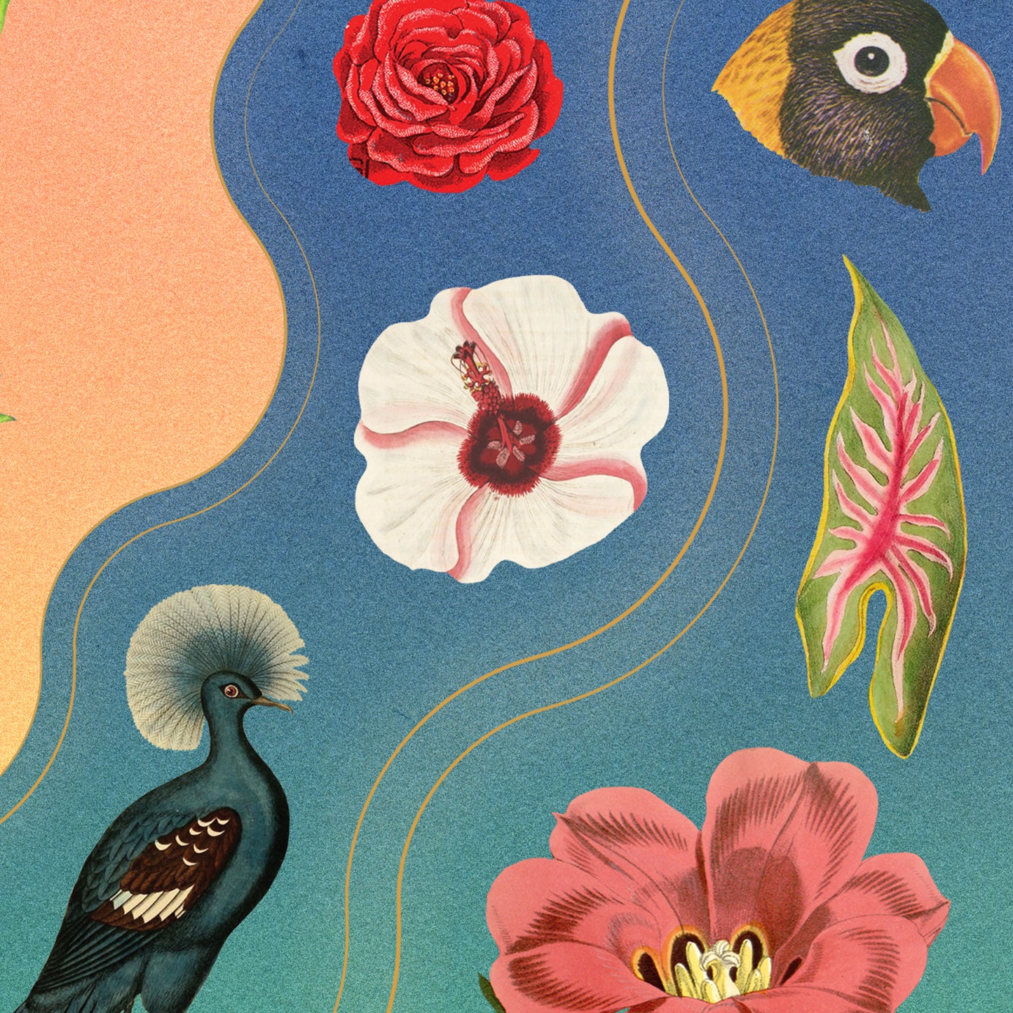 Chameleon Kaleidoscope Art Print