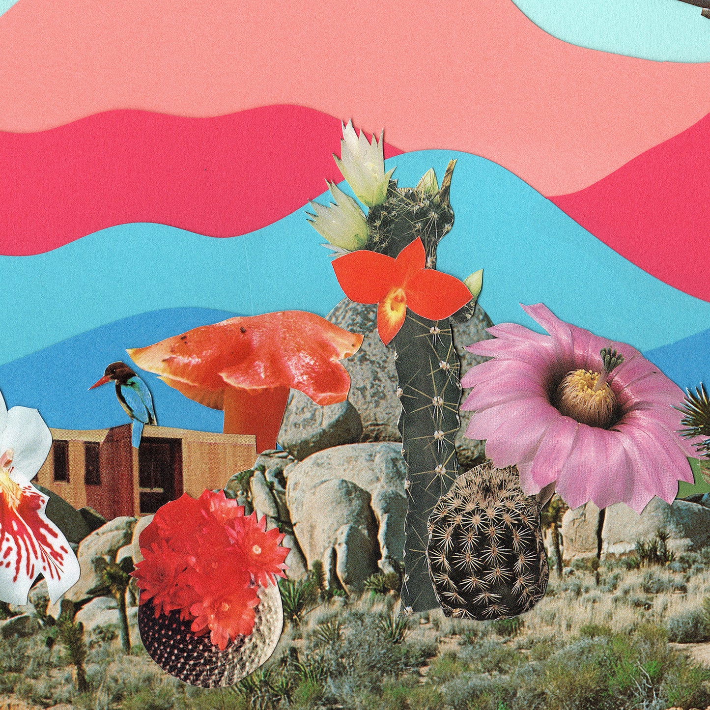 Desert Trip Art Print