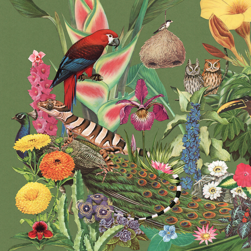 Castaways in the Jungle Art Print - Green