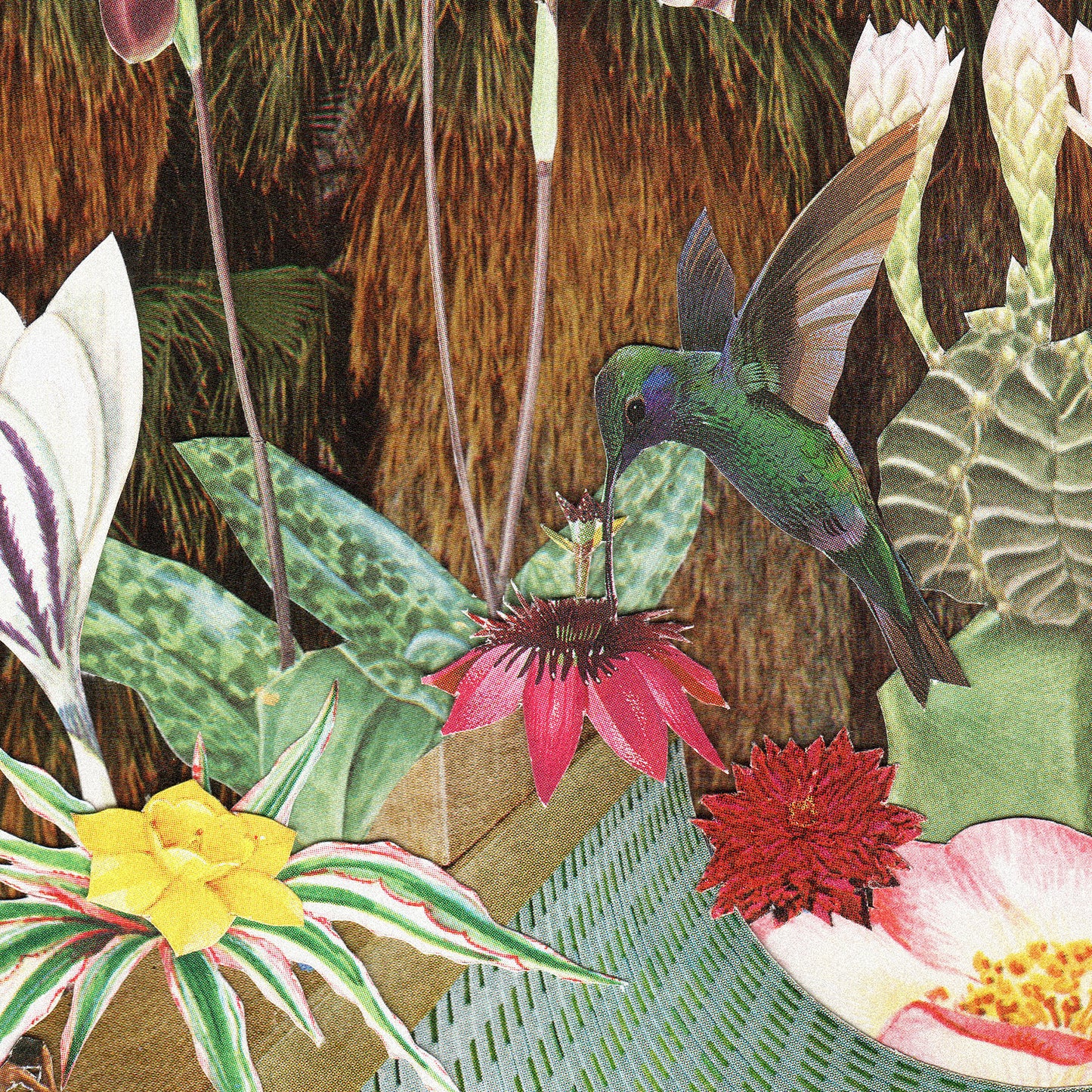 Jungle Skate Session Art Print