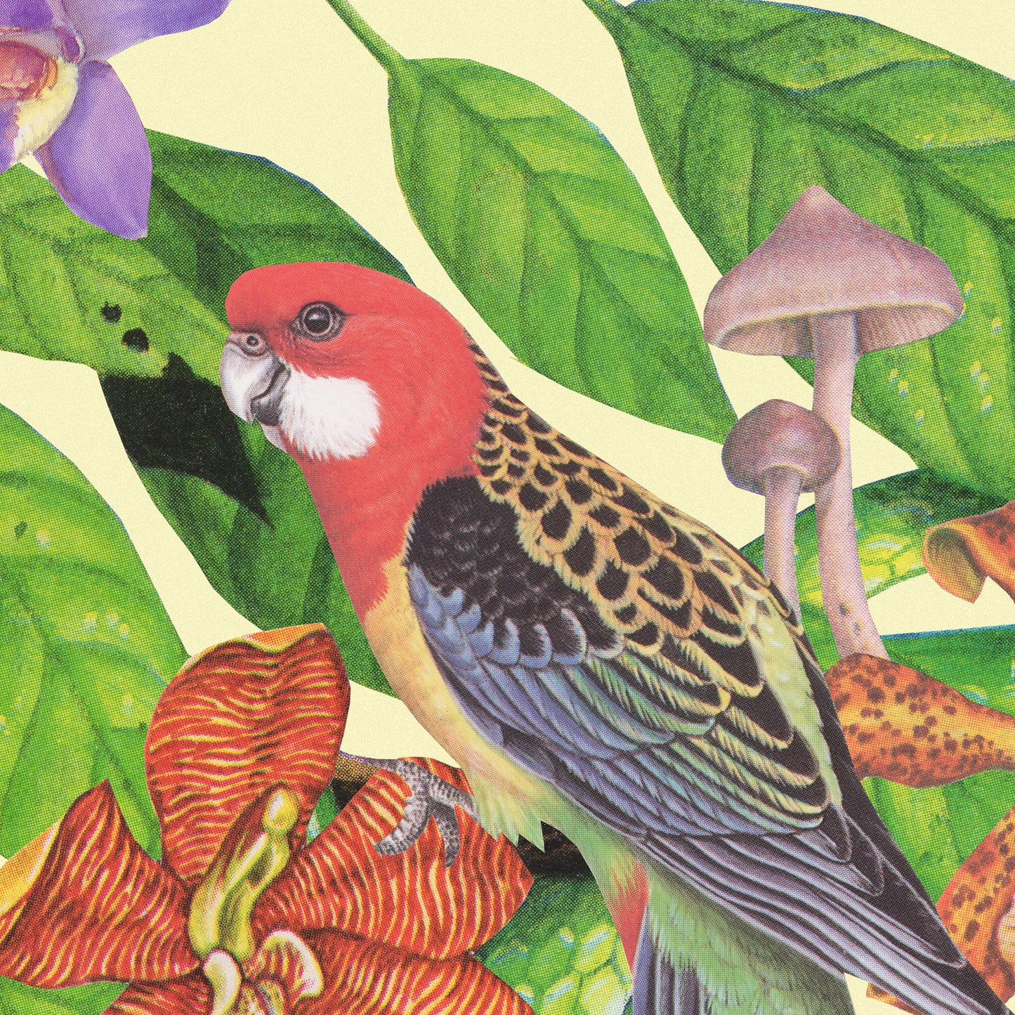 Out on a Limb Art Print