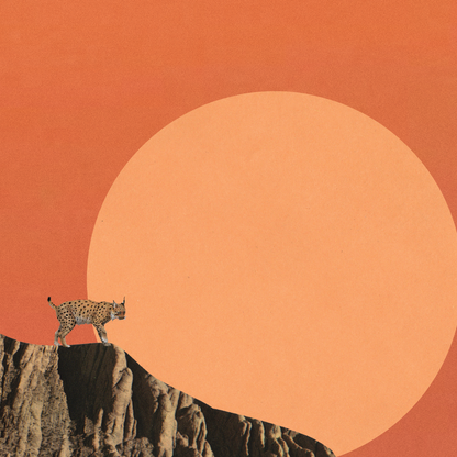 Together at Sunset Art Print