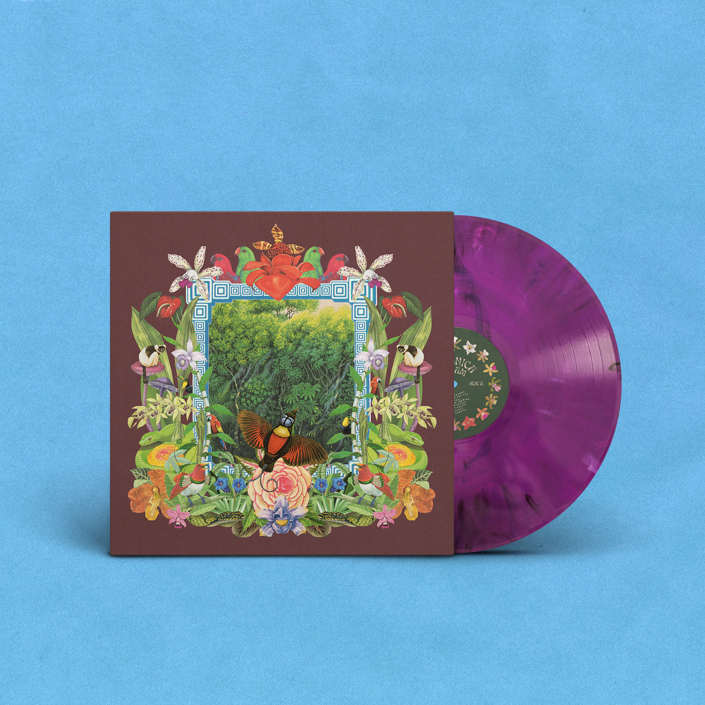 Botanica Dream LP