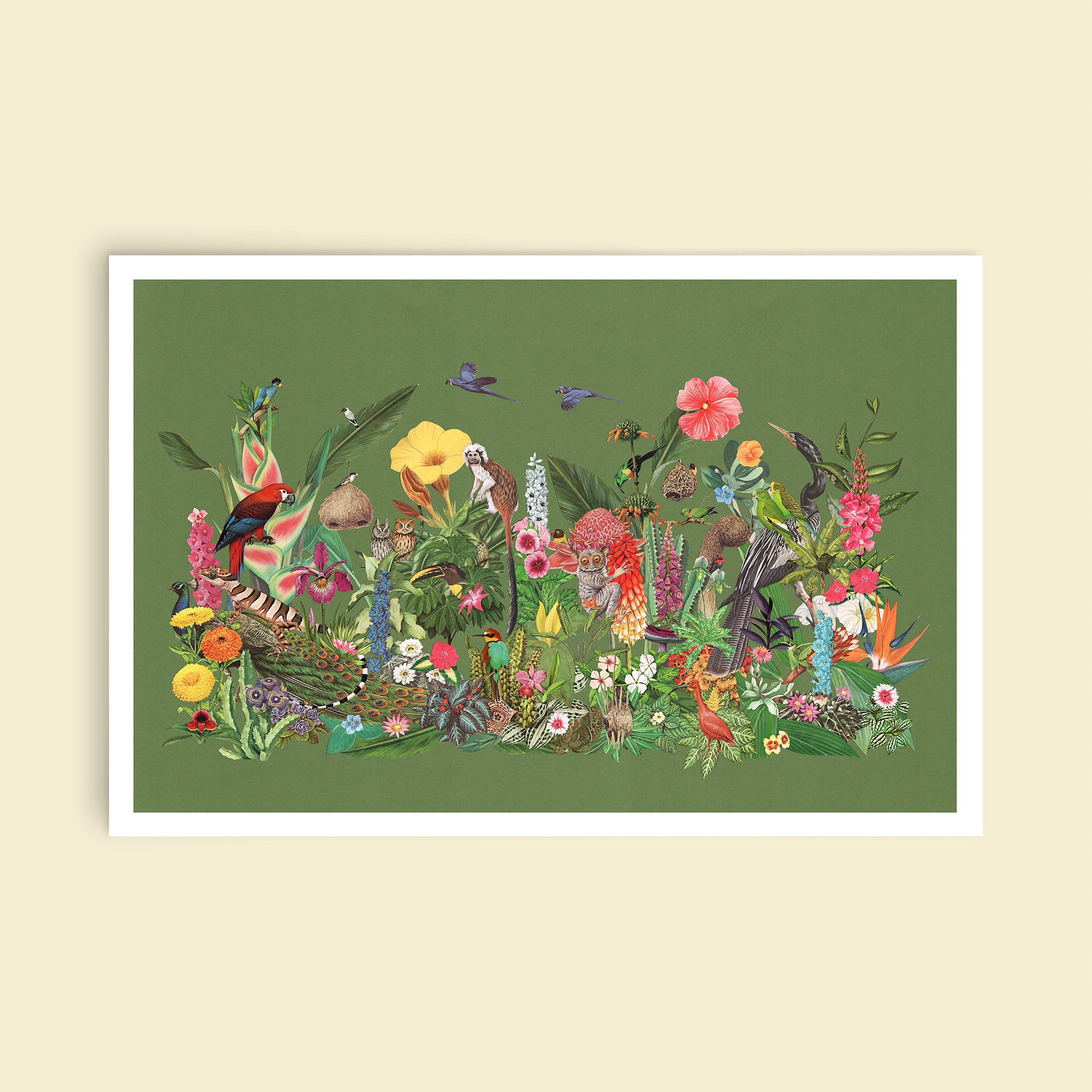 Castaways in the Jungle Art Print - Green – Ted Feighan and