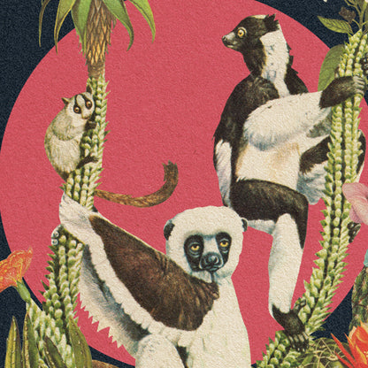 Lemur Sunset Art Print