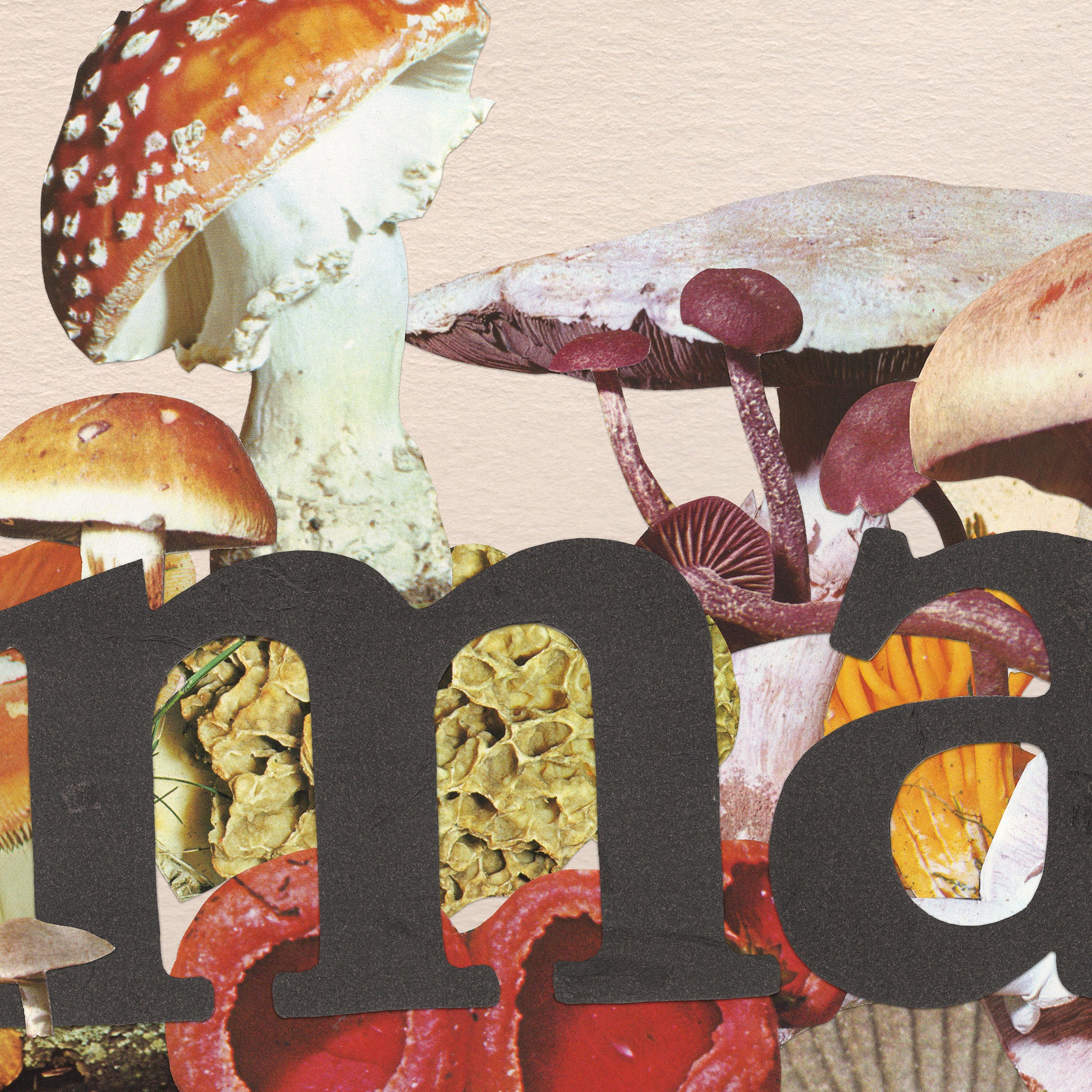 アート・デザイン・音楽 Encens magazine 50-1 special edition Mushroom Magic Art Print – Ted Feighan and Monster Rally