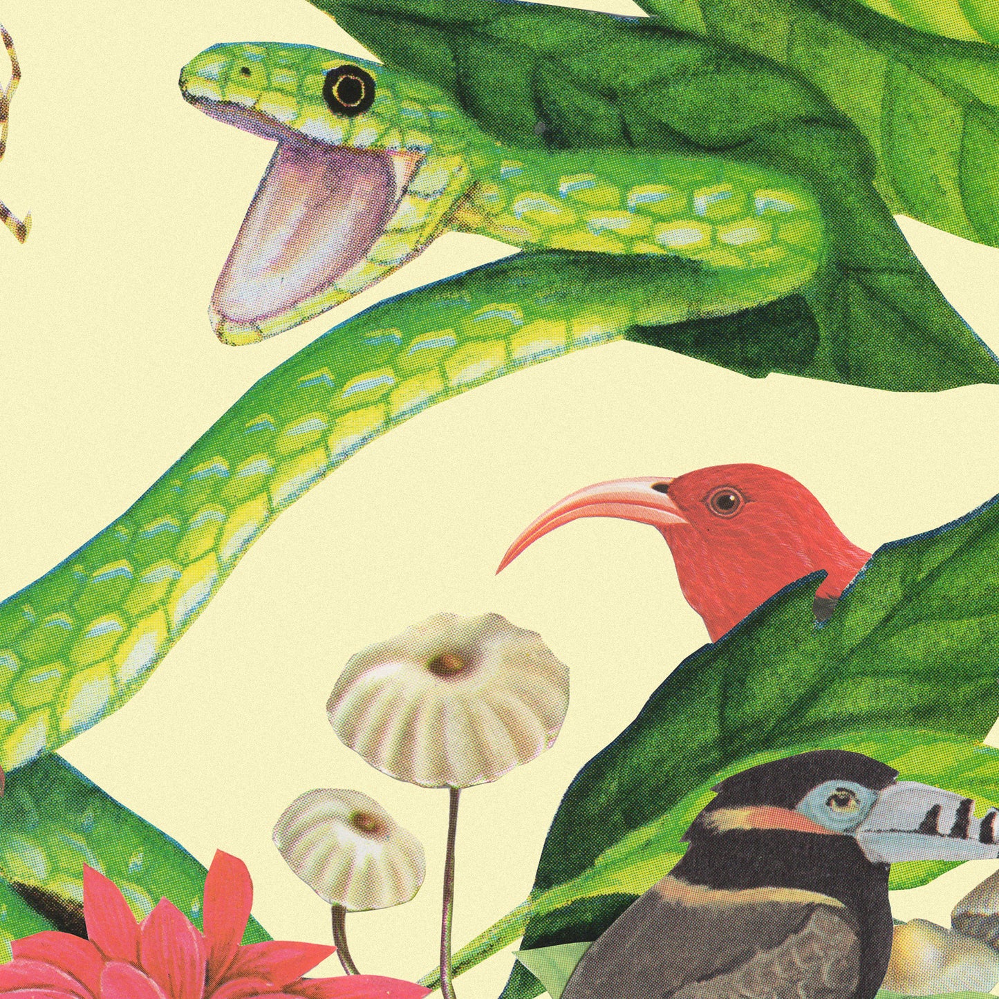 Out on a Limb Art Print