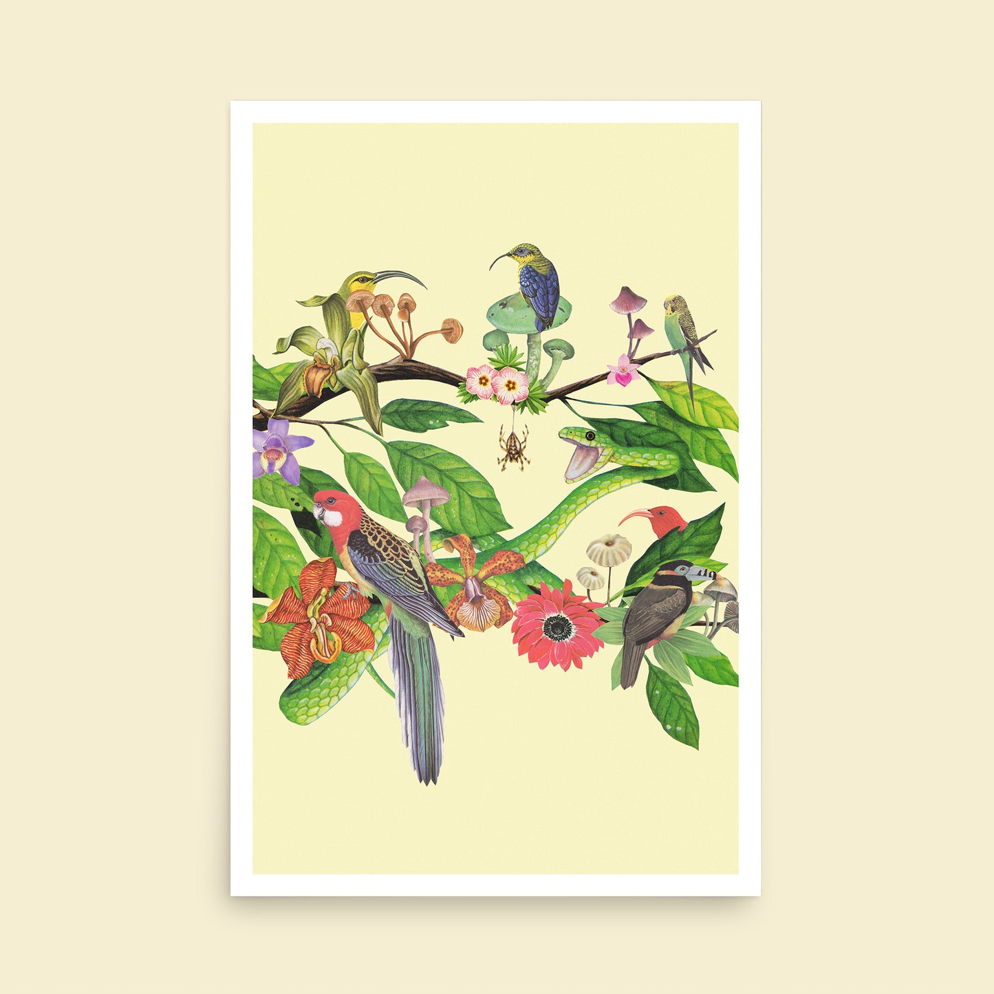 Out on a Limb Art Print