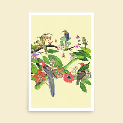 Out on a Limb Art Print