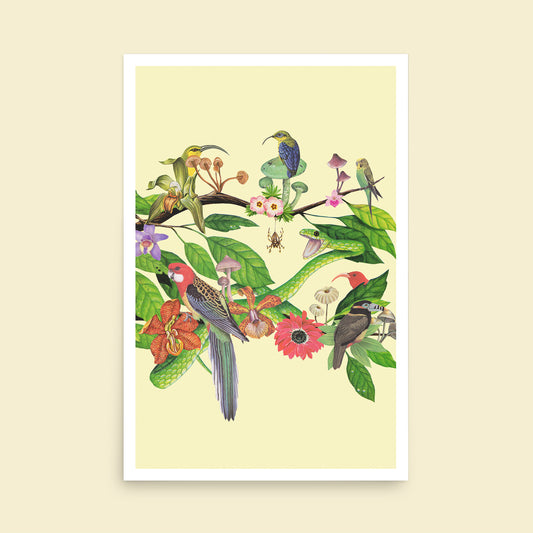 Out on a Limb Art Print