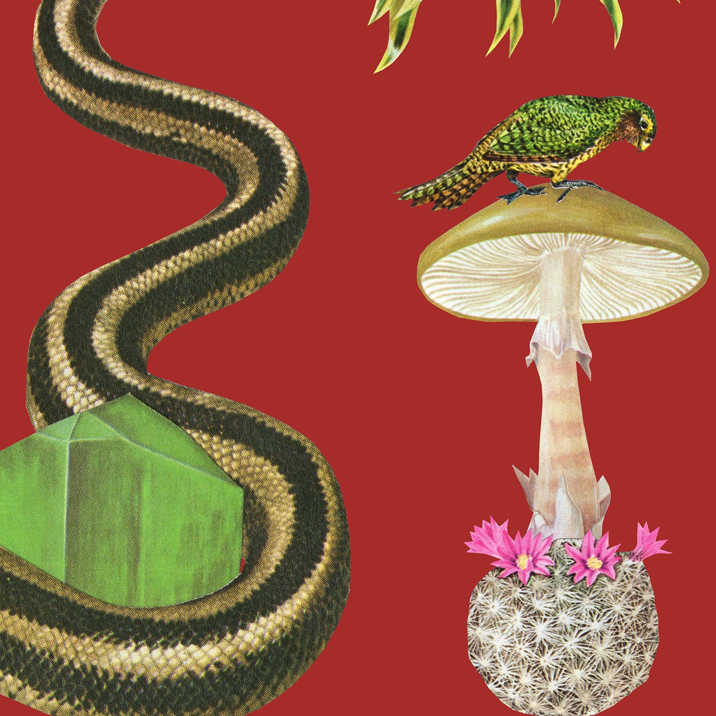 Reptile Realm Art Print