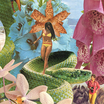 Shores on Mystery Cove Art Print