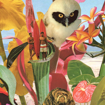 Shores on Mystery Cove Art Print