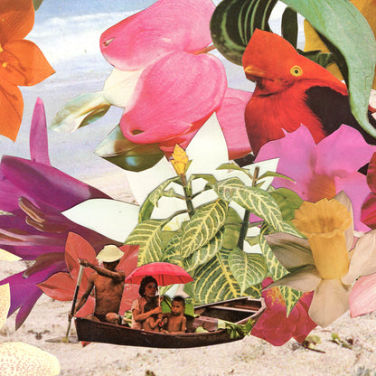 Shores on Mystery Cove Art Print