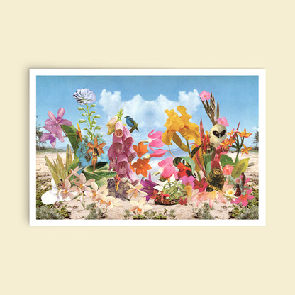 Shores on Mystery Cove Art Print