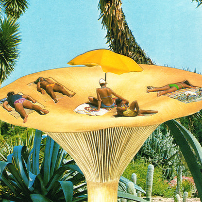 Sunbathing in the Mushroom Kingdom Art Print