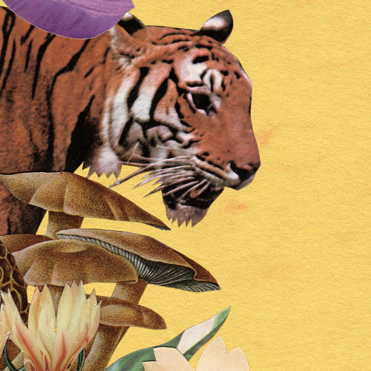 Tiger's Nest Art Print