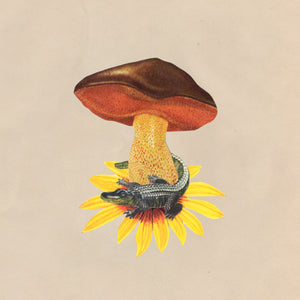 Gator Shroom Bloom Original Collage